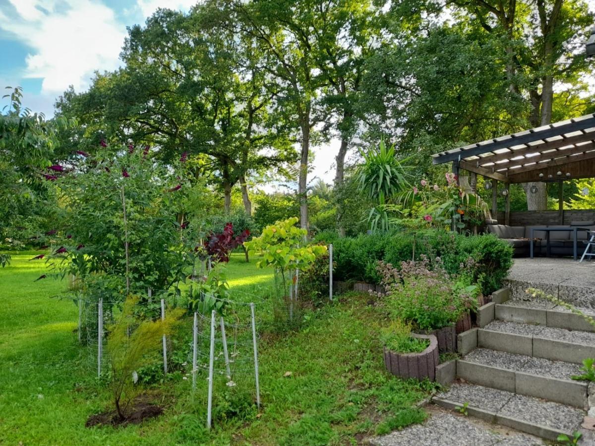 Haus Wald Und Wiese Wohnung Wald Ehndorf Kültér fotó